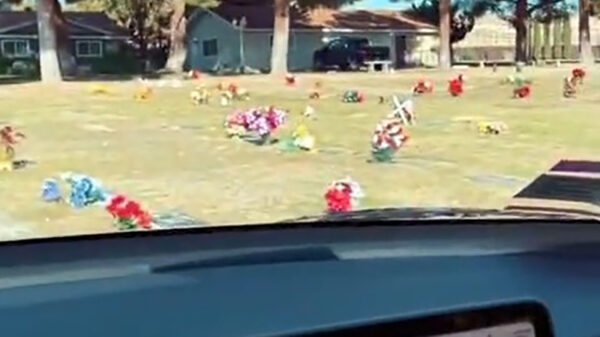 Oh noos, Tesla ziet dead people