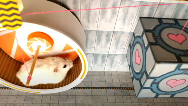 Al eens een hamster los zien gaan in een escape room?