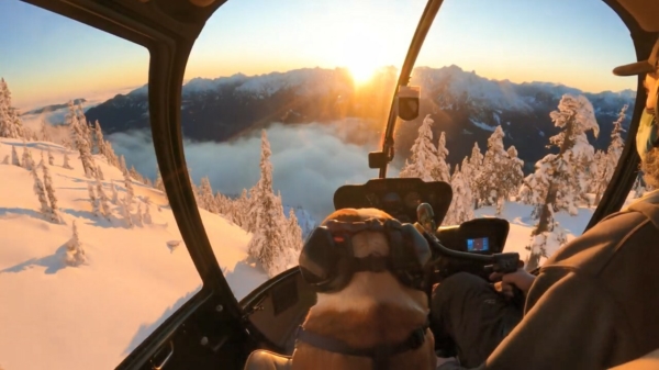 Helikopterpiloot geniet samen met zijn BFF van het schitterende uitzicht