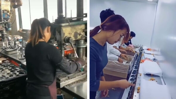 Even kennismaken met de werknemers van het jaar 2020