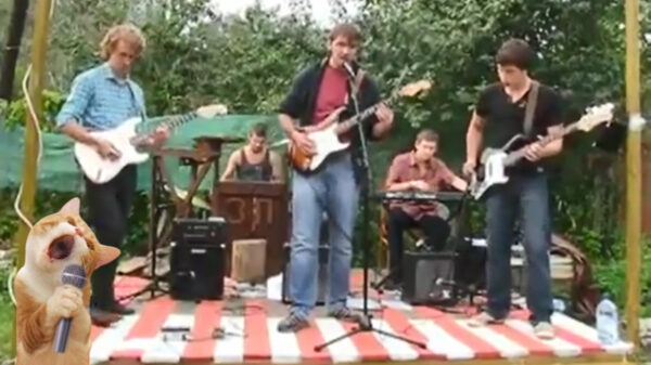 De muzikale monsterhit van de week: de Bon Jovi Tributeband - It's my life