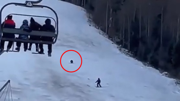 Skiër wordt op een Roemeense piste achternagezeten door een hongerige beer