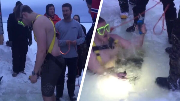 Koele kikker gaat zijn telefoon weer even terughalen