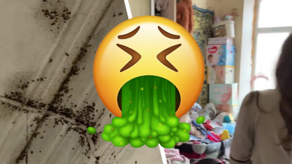 Oekraïense politie redt oma, moeder en twee koters uit ranzig horrorhuis