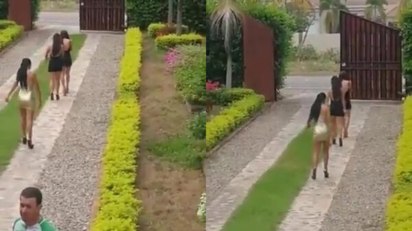 Dames van plezier hebben wat moeite met naar huis lopen