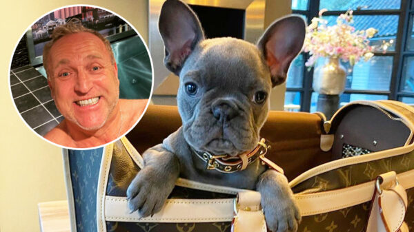 "Dogfluencer" Gordon vindt dat de Hondenbescherming zijn reet kan likken