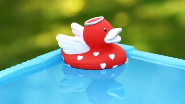 Wat vind je van mijn nieuw speeltje?