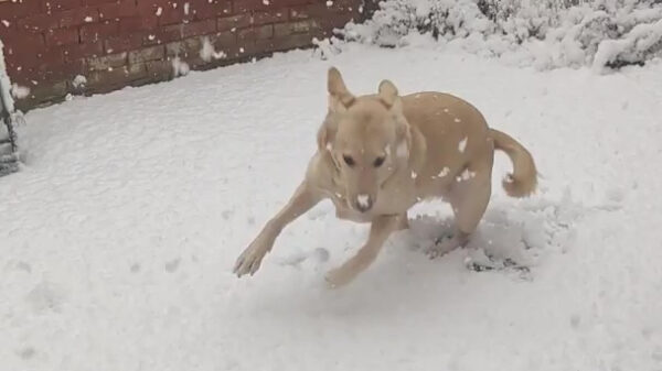 Nope, bekijk het maar