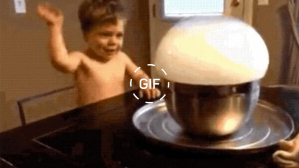 Gifdump: dit zagen ze allemaal ff niet zo goed aankomen