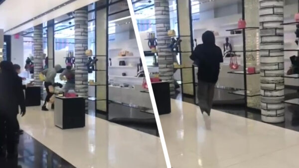 Ach ja joh, plunder anders even de Chanel Store in New York op klaarlichte dag