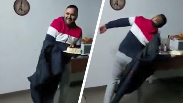 De wonderbaarlijke avonturen van de taart die wilde leven