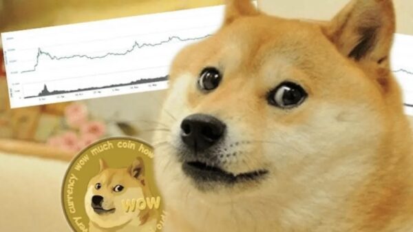 Het bizarre verhaal achter de cryptomunt Doge