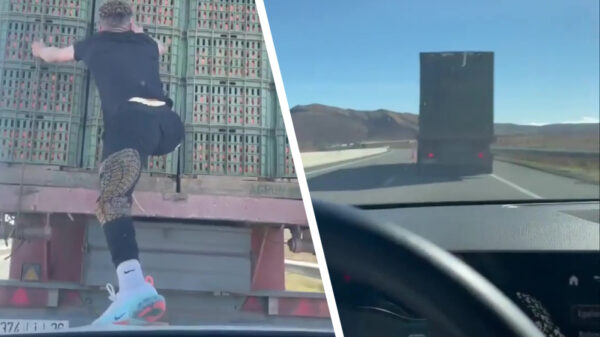 Als je midden op de snelweg ineens zin krijgt in een sinaasappel