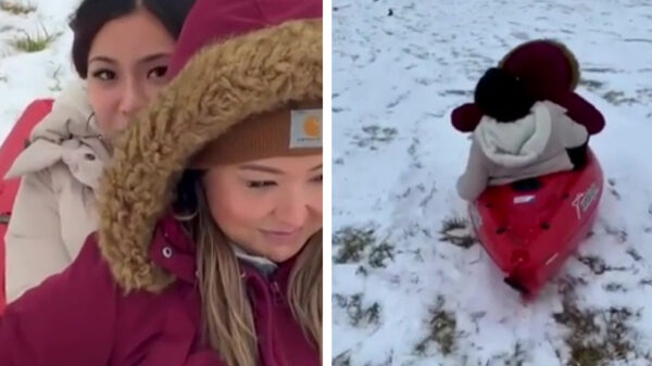Sleeënde dames slopen hun eigen staartbotje na heftige landing