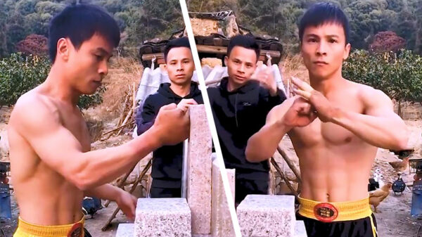 Het neefje van Bruce Lee kan je met 1 stoot om zeep helpen