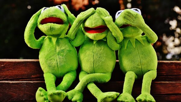 Ook Kermit de Kikker zit ondertussen gezellig op Chatroulette