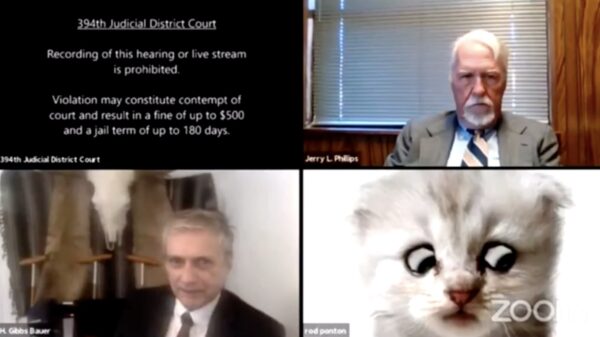 Advocaatje snapt nieuwerwetse technologie niet en verandert in een kat