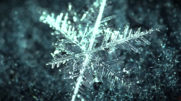 Heerlijk rustgevende smeltende sneeuwvlokken, maar dan achterstevoren