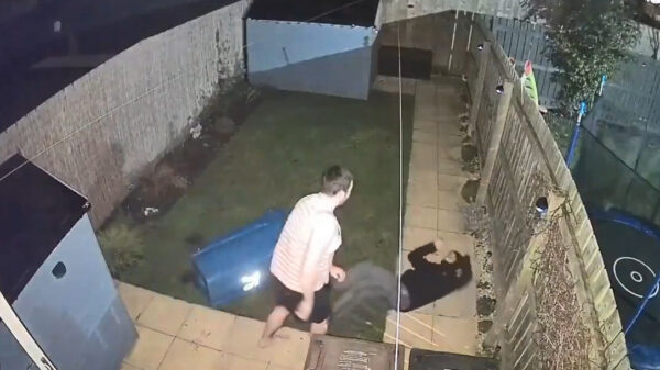 Inbreker wordt heerlijke gepwned door bewoner met ballen van staal