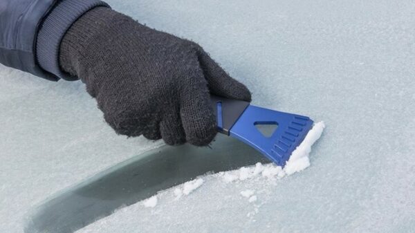 En wij maar klagen als we moeten krabben!