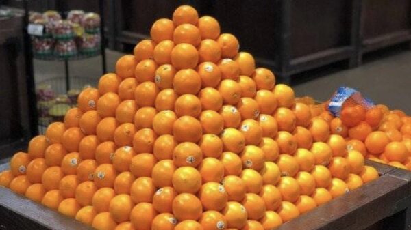 De hoogste tijd voor een nieuwe verzameling van heerlijke OCD-pics!