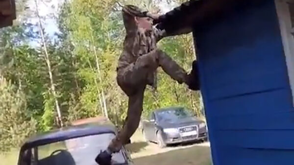 Dimitri heeft geen ladder nodig om op het schuurtje te klimmen