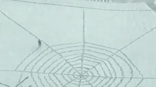 Als je je helemaal de pleuris verveelt tijdens een sneeuwstorm