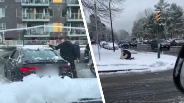 Road rage in Vancouver gaat van sneeuwballengevecht naar MMA-matpartij