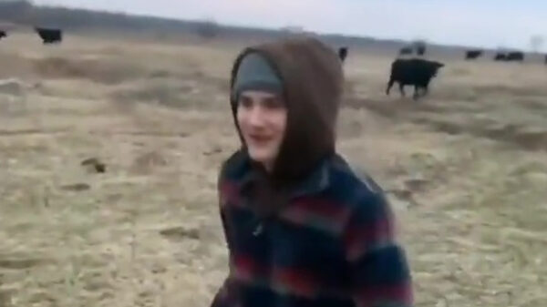 Dankzij deze sprong doet zijn enkel het voorlopig niet meer