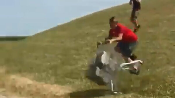 Nieuwe generatie Jackass gaat los met winkelwagentje