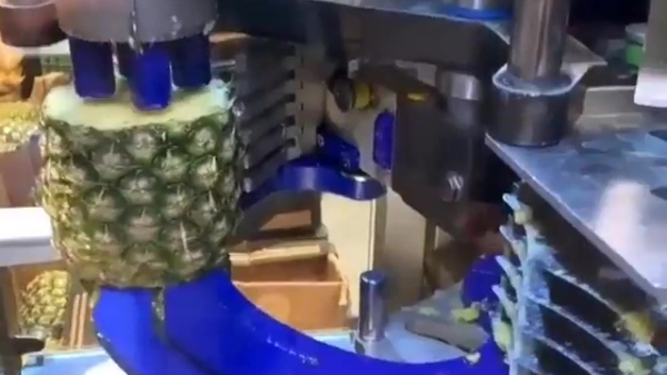 Welkom in de 21e eeuw: een ananas-snijmachine