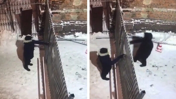 Is er misschien iemand die mij kan vertellen hoe dit hek open moet?!?