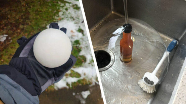 24 OCD-heerlijkheden op die altijd lastige maandagmiddag