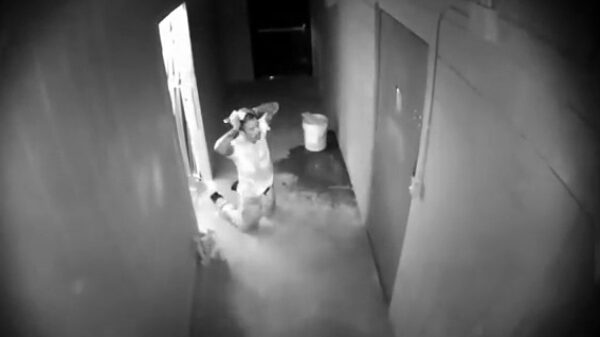 Oude doos: winkeleigenaar zet na de zoveelste overval een effectieve val