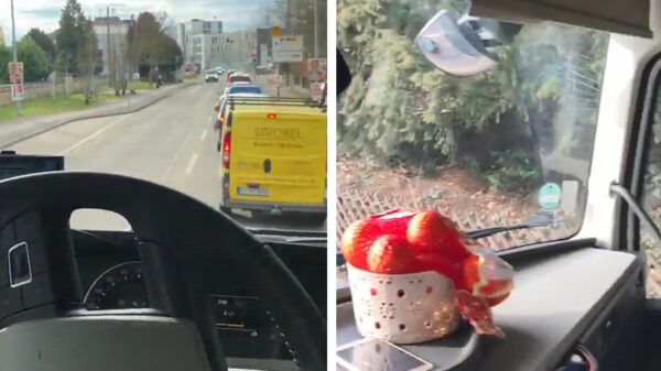 De dode hoek van een vrachtwagenchauffeur blijft een biatch