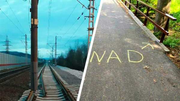 Deze 26 droeftoeters hadden slechts één taak