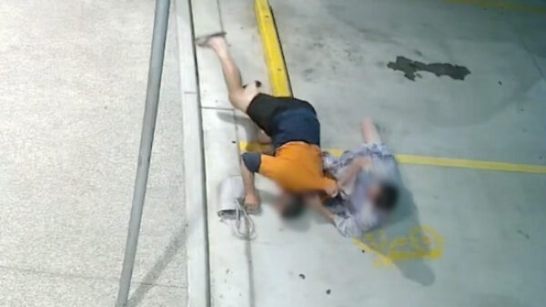 Australische oma is niet van plan haar tassie zomaar af te geven