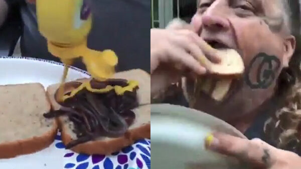 Meesterbrein Gucci Berry eet een voedzame wormsandwich als lunch