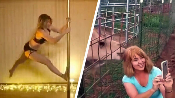 Alle fails van week 8 op een rij