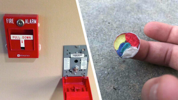 Dit is hoe deze 17 dingen er van de binnenkant uitzien