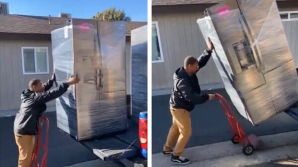 Wait for it: een koelkastje uitladen voor professionals