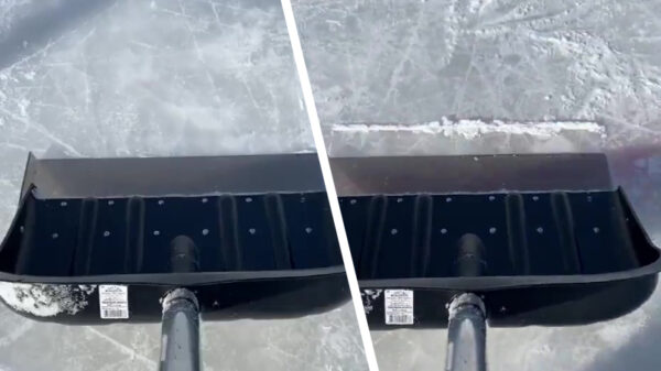 Waarom je Tony Montana Jr. nooit moet meenemen bij het sneeuwschuiven