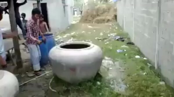 Oude doos: Indiërs vinden de koe in de pot