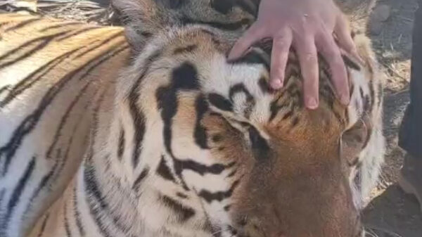 Even een heerlijk ontspannende massage