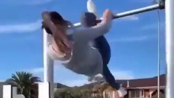 Zwieren, zwaaien, op je bakkes gaan