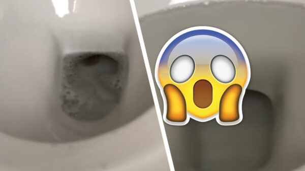 Colombiaan vindt bijtgrage "keutel" in zijn toiletpot