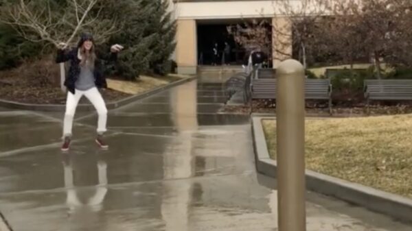 Haasje over voor professionals