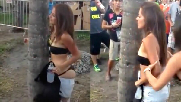 Oude doos: GroenLinkser tilt boomknuffelen naar een hoger niveau