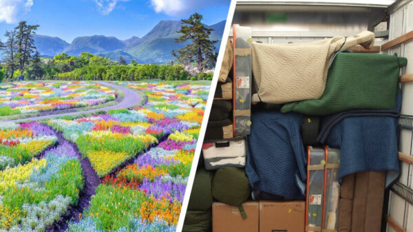 Je bijna wekelijkse dump van heerlijke OCD-pics staat weer klaar!