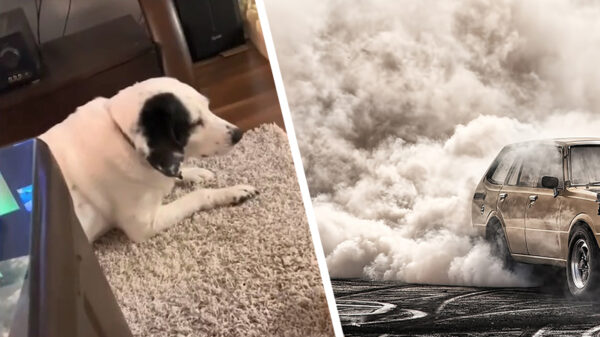 Max geeft zero fux om nieuw vloerkleed en laat dit duidelijk weten